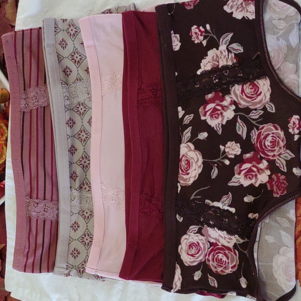 4 Pack Ladies Large Brief Panties